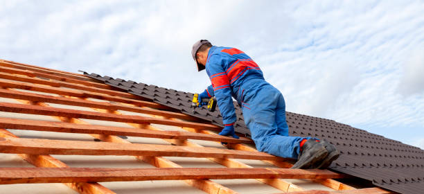 Best Asphalt Shingles Roofing  in Rich Hill, MO